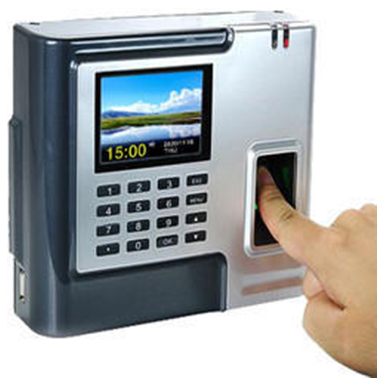 Golden Star Business Solution, Doha - Qatar